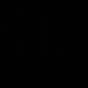 Meet your Posher, Jayden